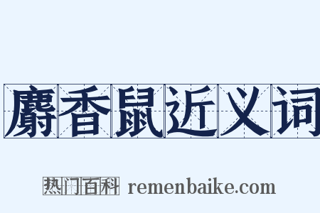麝香鼠近义词是什么意思的图片